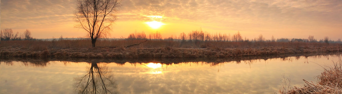 Fox Rage Hengels bij snoekenbaars.nl