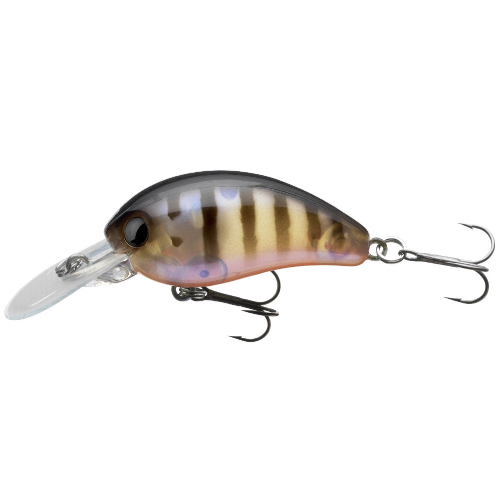 Daiwa Tournament Baby Crank 35SR bij snoekenbaars.nl
