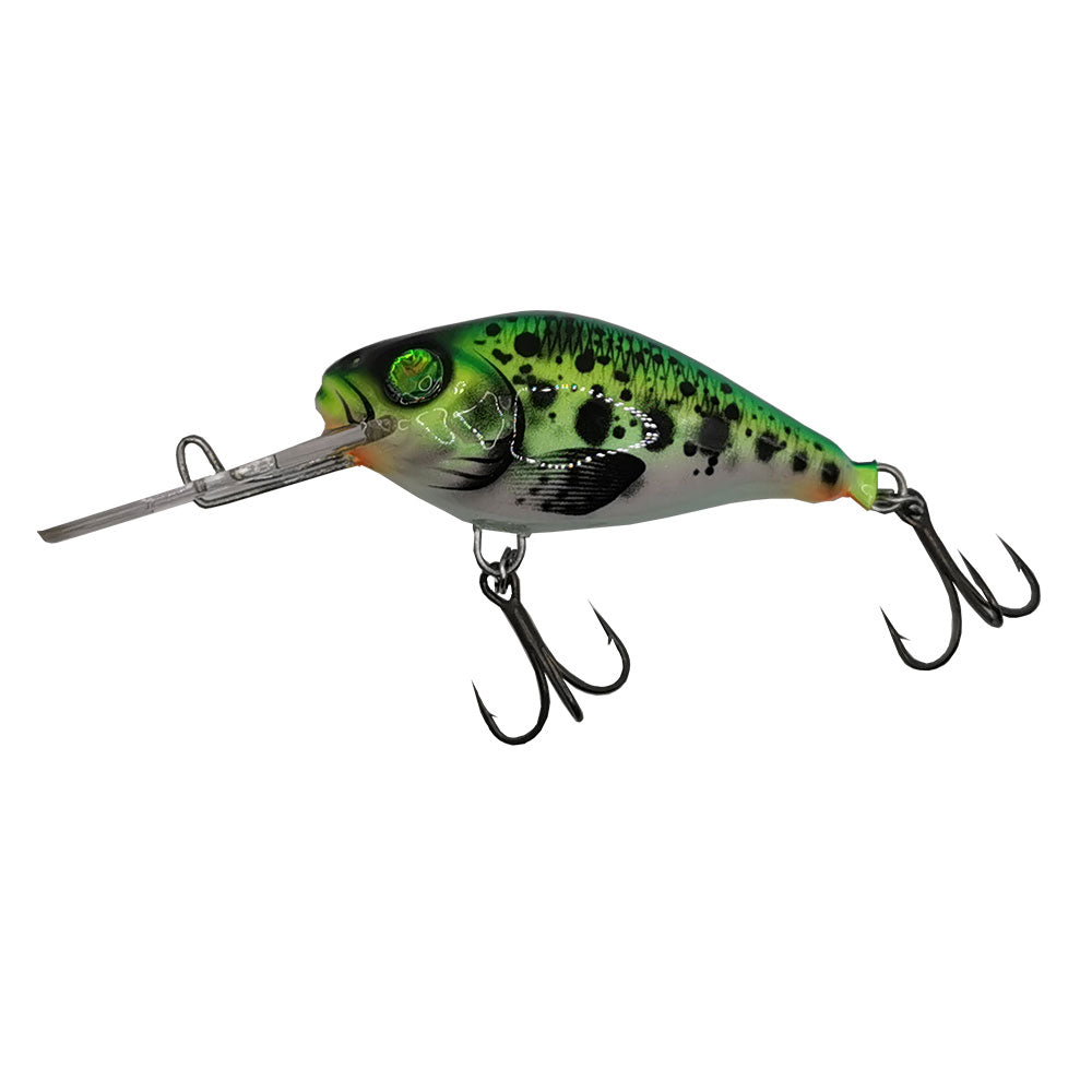 Hybrida C4BT (Crank For Big Tank) bij snoekenbaars.nl