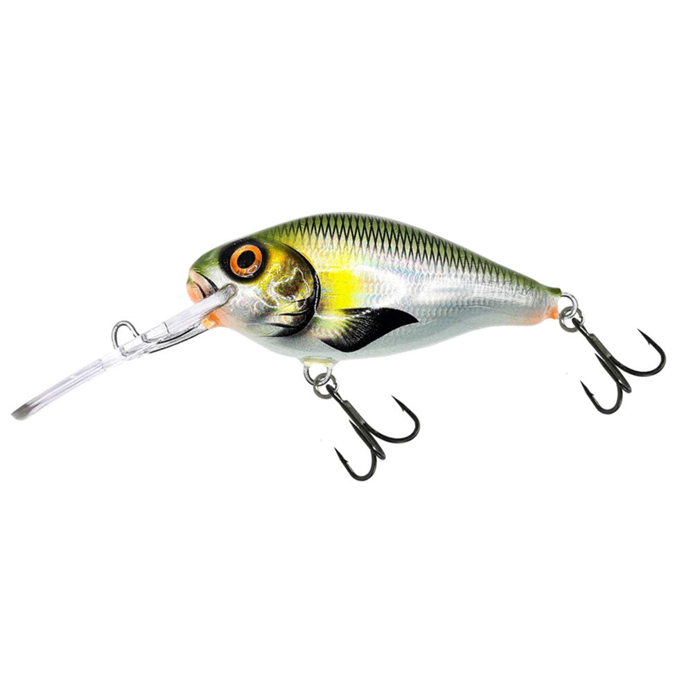 Hybrida C4BT (Crank For Big Tank) bij snoekenbaars.nl