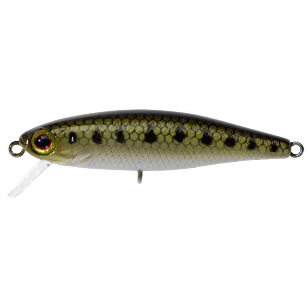 Jackall Tiny Fry 50 SP bij snoekenbaars.nl