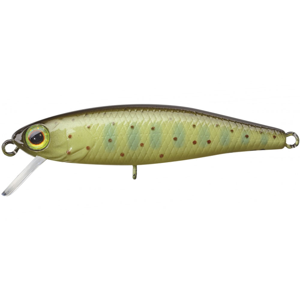 Jackall Tiny Fry 50 SP bij snoekenbaars.nl