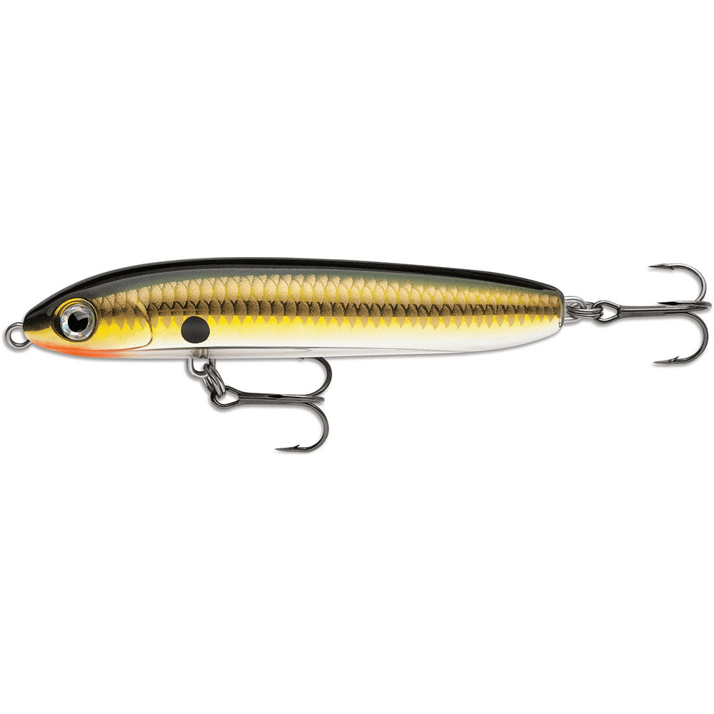 Rapala Skitter V 10 cm bij snoekenbaars.nl