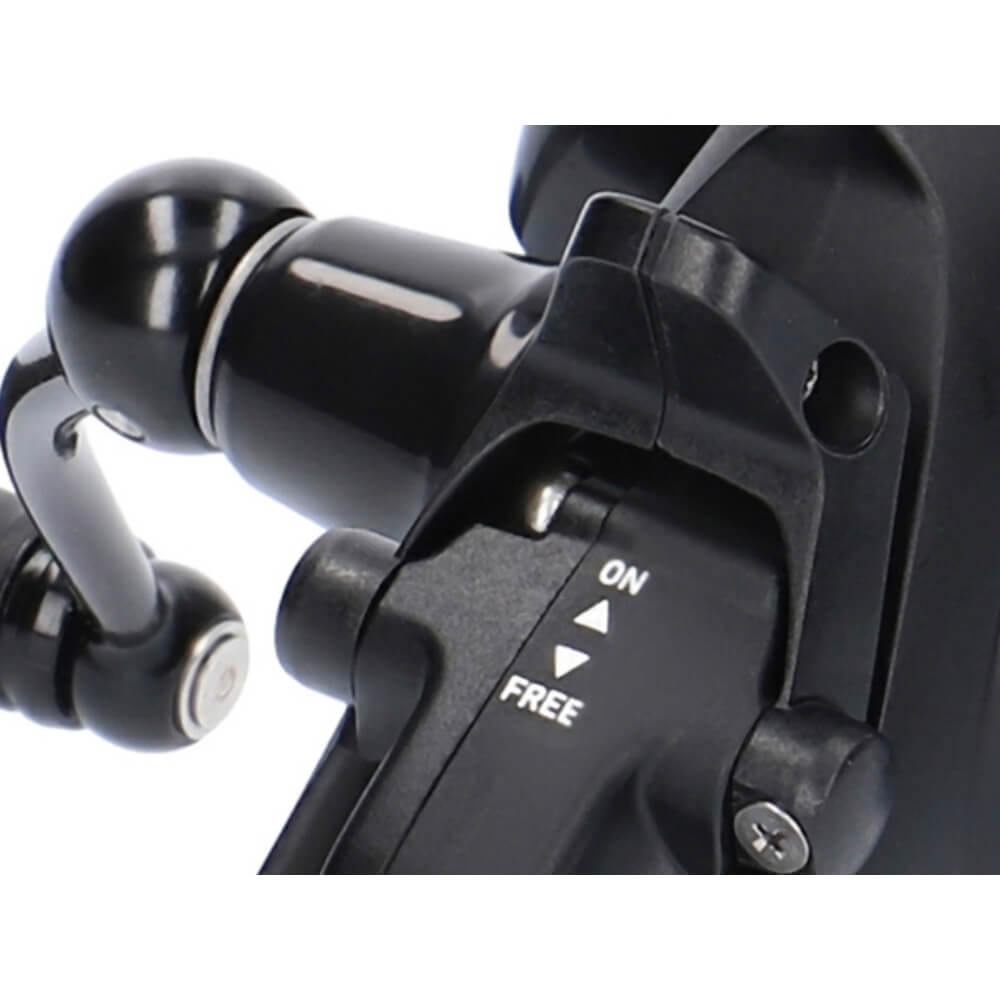 Daiwa 19 Black Widow BR LT bij snoekenbaars.nl