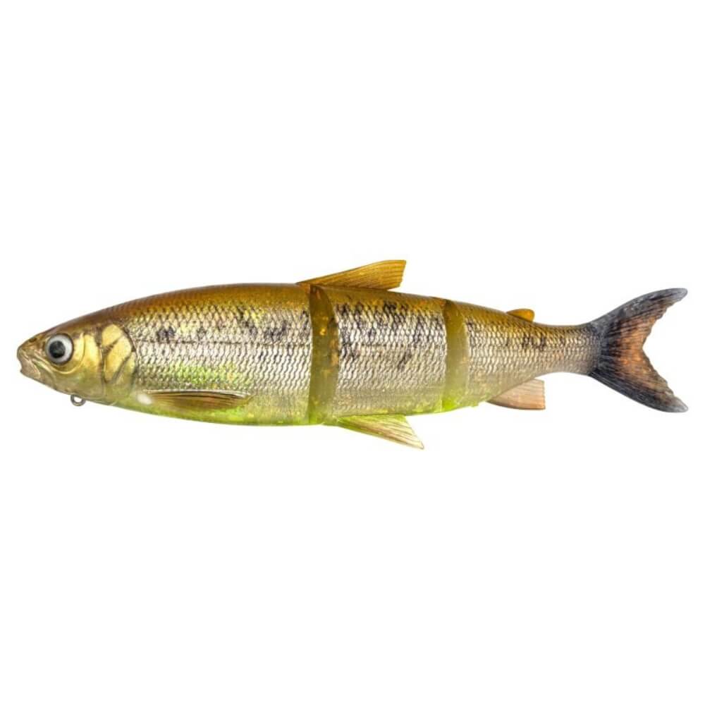 Savage Gear 3D Line Thru Whitefish XL bij snoekenbaars.nl