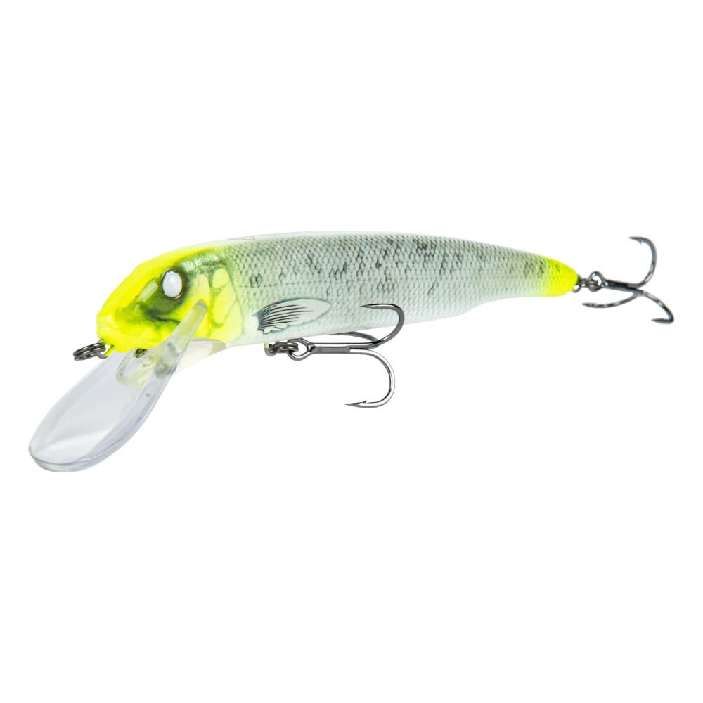 Savage Gear Sucker Flanker bij snoekenbaars.nl