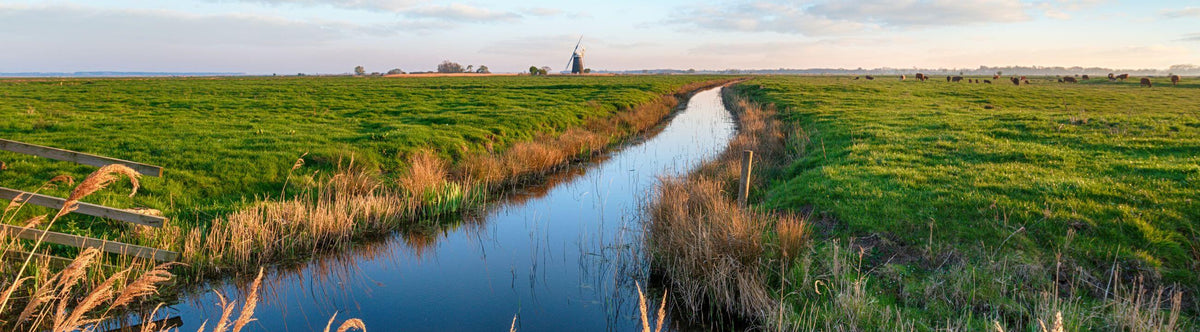 Hengels met Moderate Actie bij snoekenbaars.nl