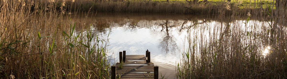Topwater-Kunstaas voor Snoek bij snoekenbaars.nl