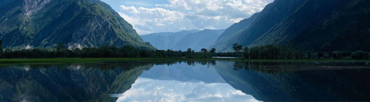 SPRO Terminal Tackle bij snoekenbaars.nl
