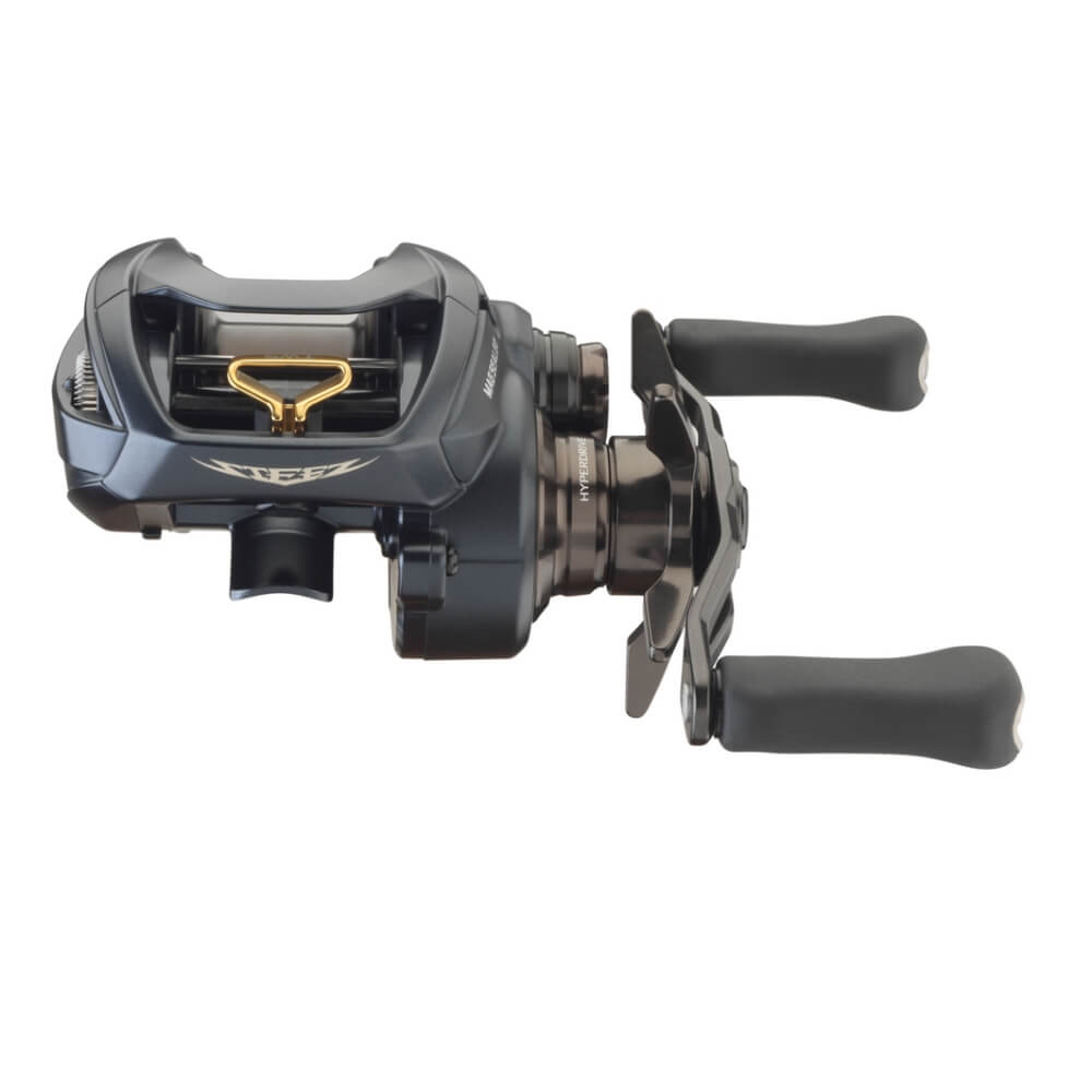 Daiwa Steez A II TW bij snoekenbaars.nl
