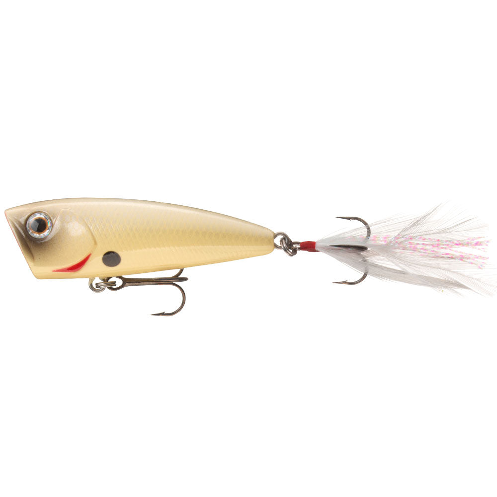 Daiwa Steez Popper 60F bij snoekenbaars.nl