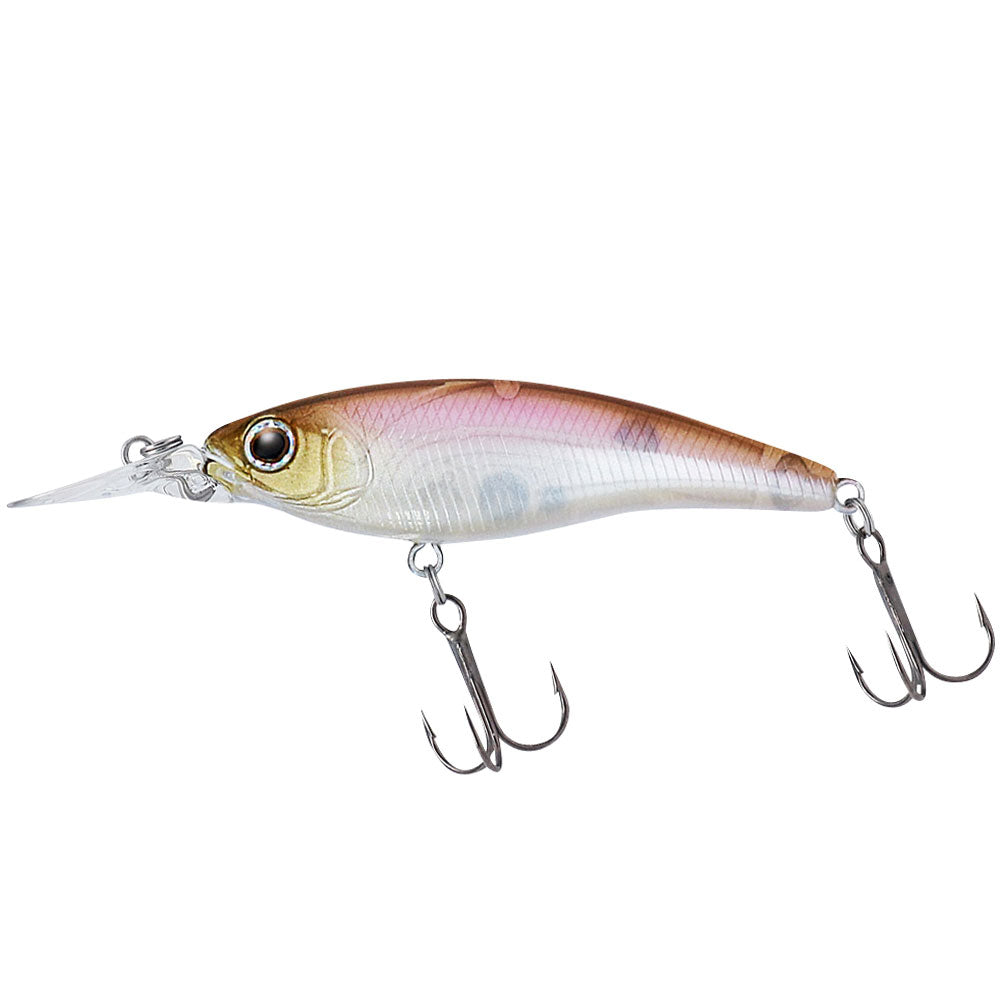 Daiwa Steez Shad 60SP bij snoekenbaars.nl