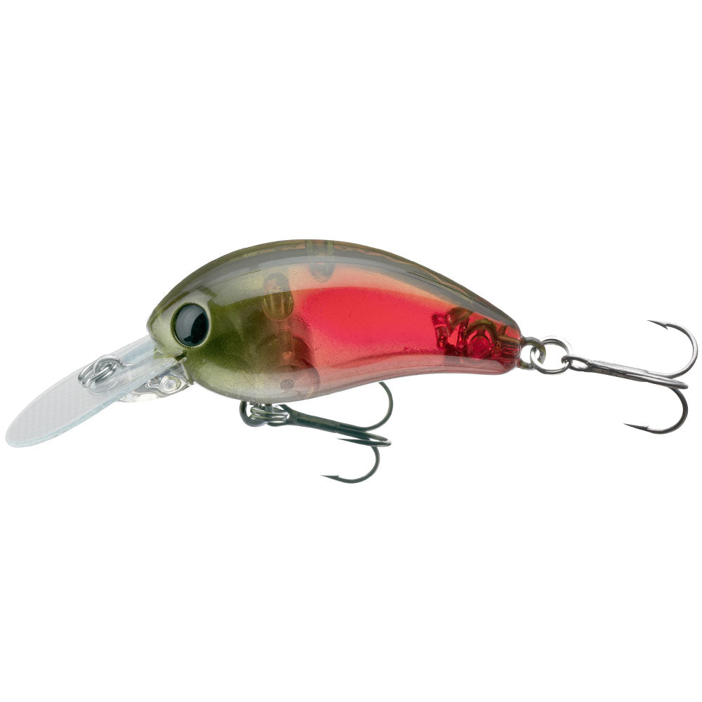 Daiwa Tournament Baby Crank 35SR bij snoekenbaars.nl
