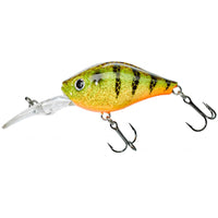 Beoordeling van Thomas voor het product D-Gigan 39 F Strass Perch