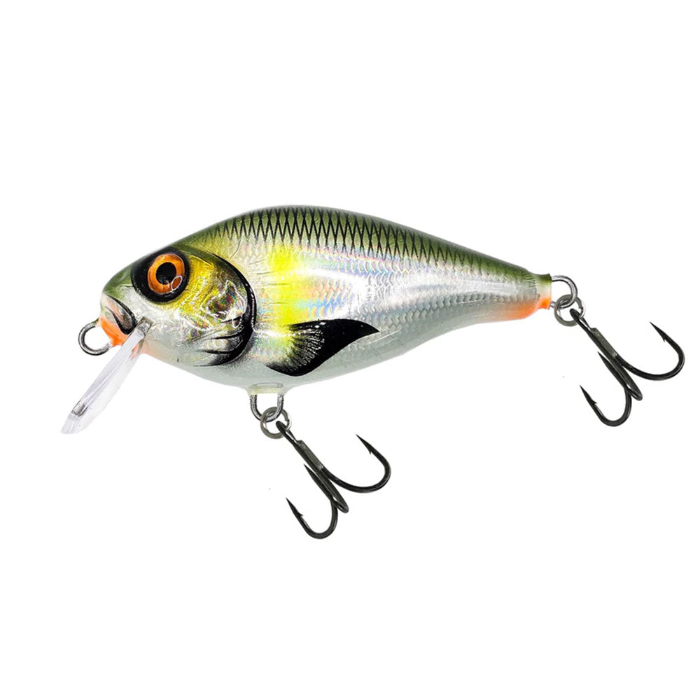 Hybrida C4BT (Crank For Big Tank) bij snoekenbaars.nl