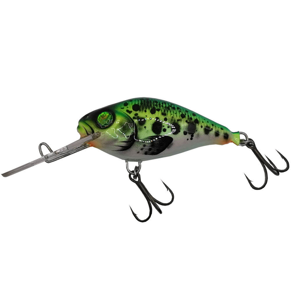 Hybrida Plug C4-T Crankbait bij snoekenbaars.nl