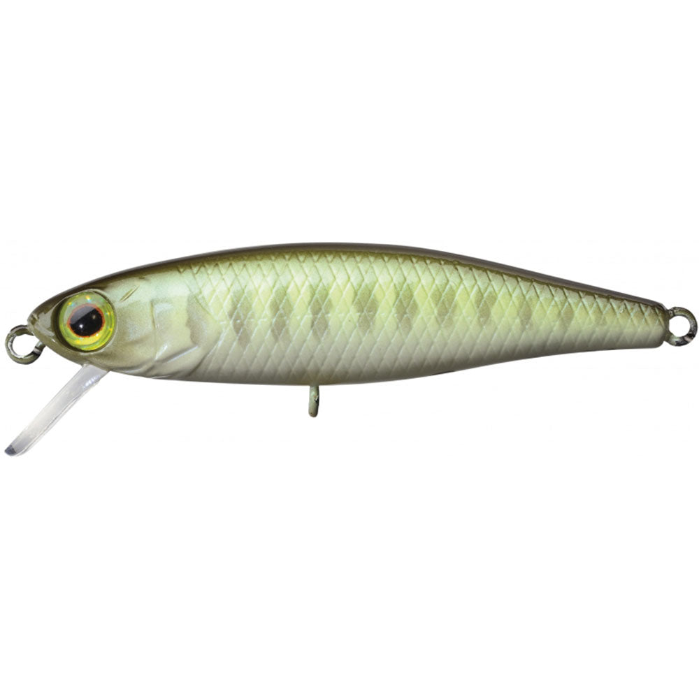 Jackall Tiny Fry 50 SP bij snoekenbaars.nl