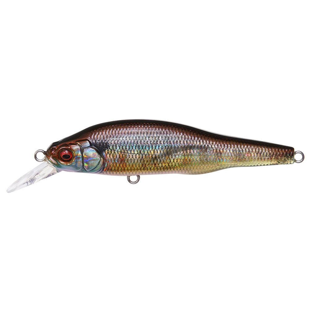 Megabass X-80 Trick Darter bij snoekenbaars.nl