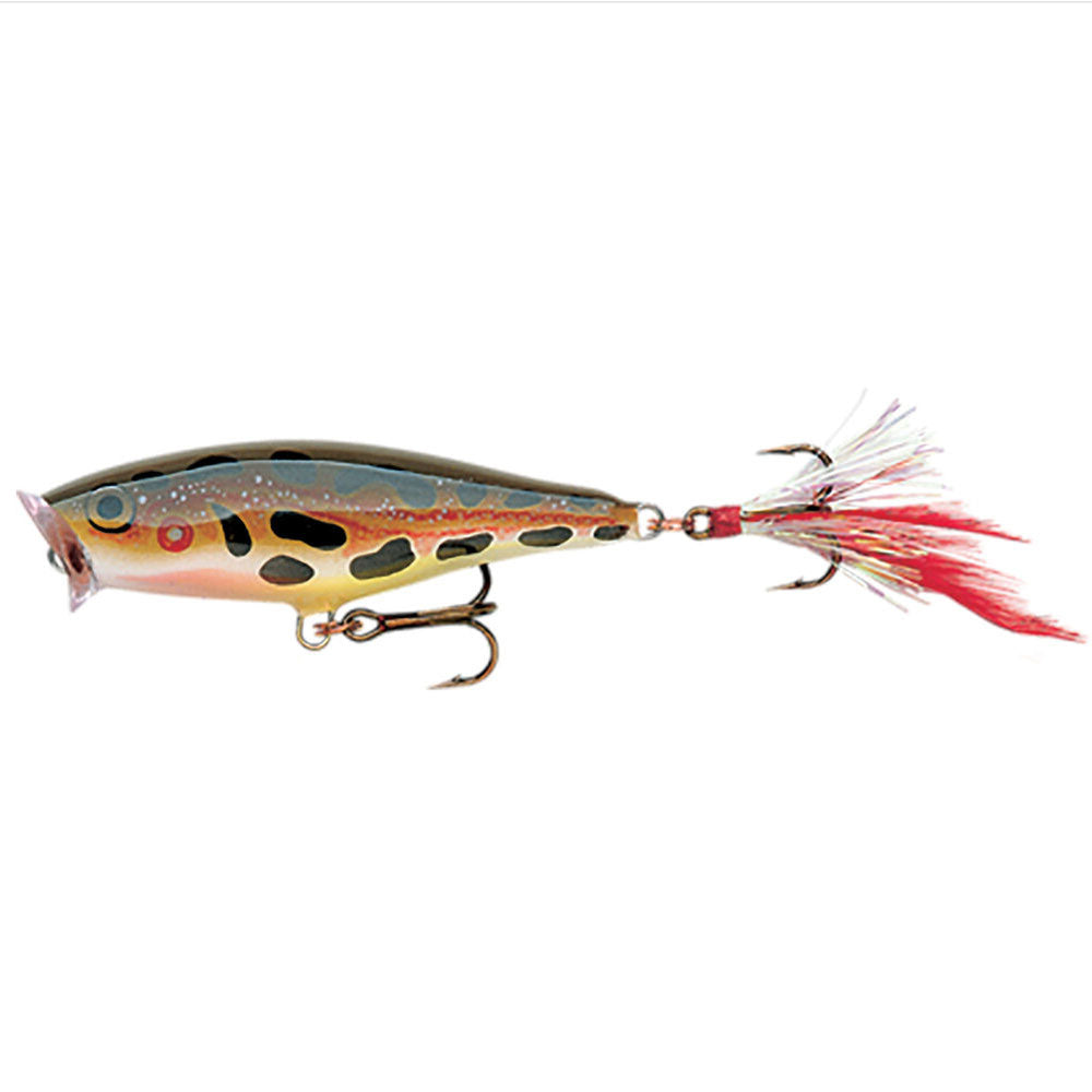 Rapala Skitter Pop 7 cm bij snoekenbaars.nl