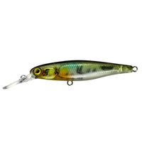 Beoordeling van Philipp voor het product Squirrel 61 SP NF Ayu