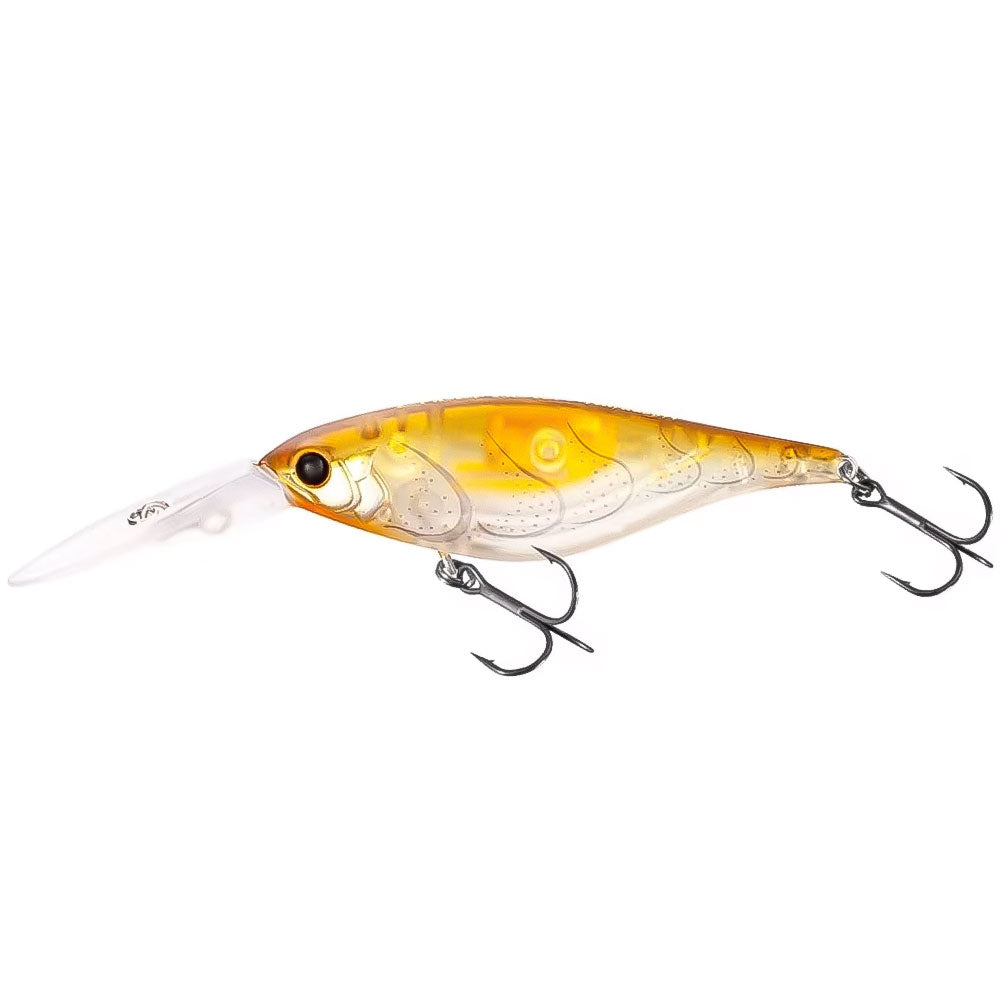 Shimano Bantam Enber 60SP Flashboost bij snoekenbaars.nl