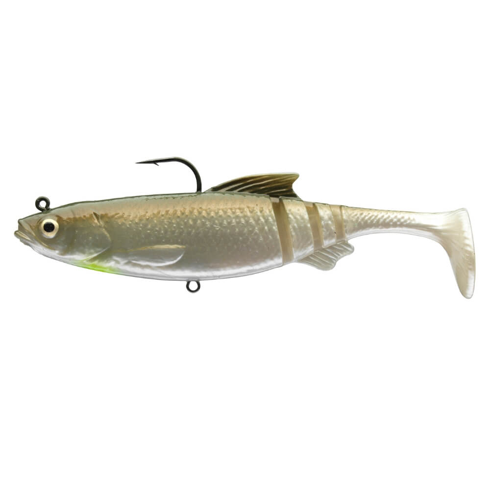 Daiwa Prorex Lazy Roach RD bij snoekenbaars.nl