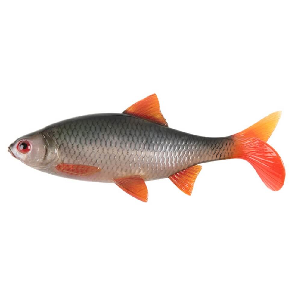 Fox Rage Ultra Realistic Replicant Roach bij snoekenbaars.nl