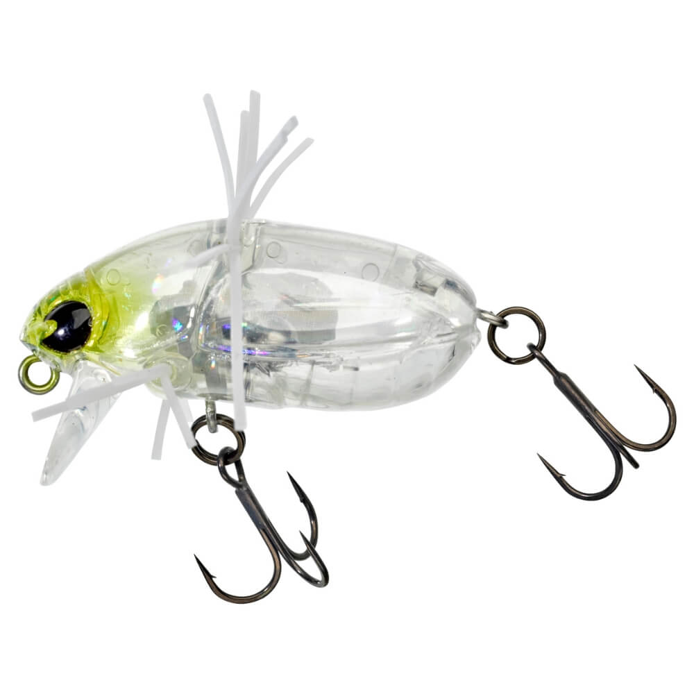 Jackall Chubby Bug 35 bij snoekenbaars.nl