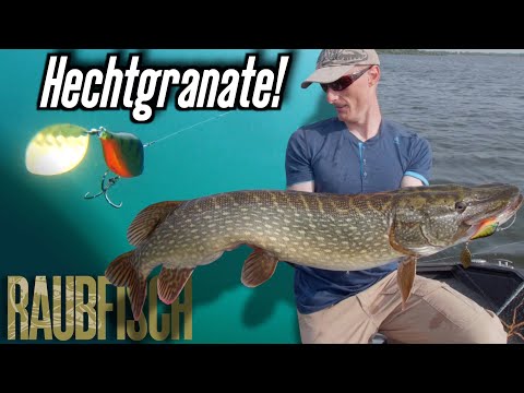 Fisch &amp; Fang Hechtgranate / Roofvis Edition bij snoekenbaars.nl