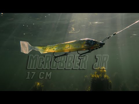Svartzonker McRubber Junior (17 cm) bij snoekenbaars.nl