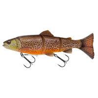 Beoordeling van Claudia voor het product 3D Line Thru Trout 15 cm / 40 g / Sinking / Tiger Trout