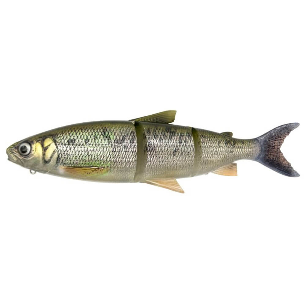 Savage Gear 3D Line Thru Whitefish XL bij snoekenbaars.nl