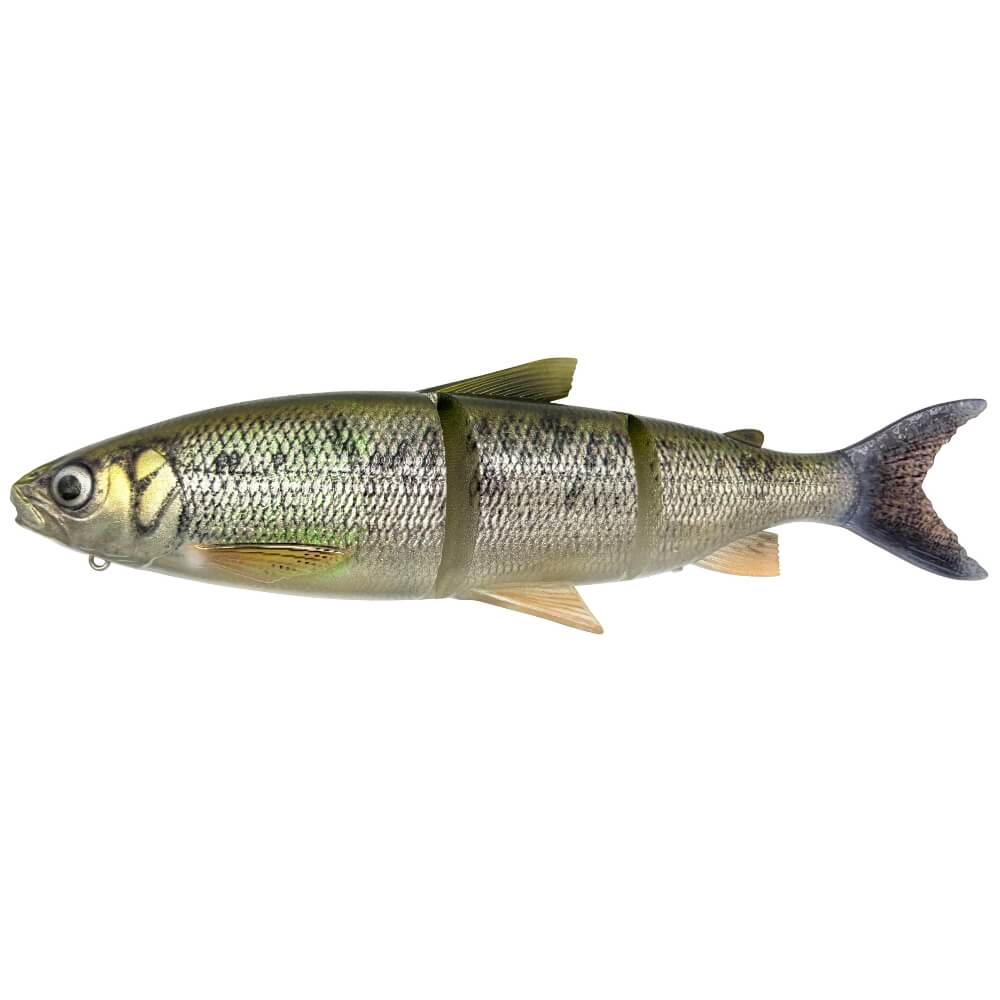 Savage Gear 3D Line Thru Whitefish bij snoekenbaars.nl